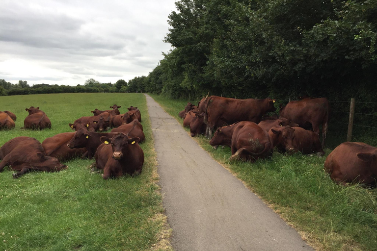 Cambridge: Grantchester Bike Tour