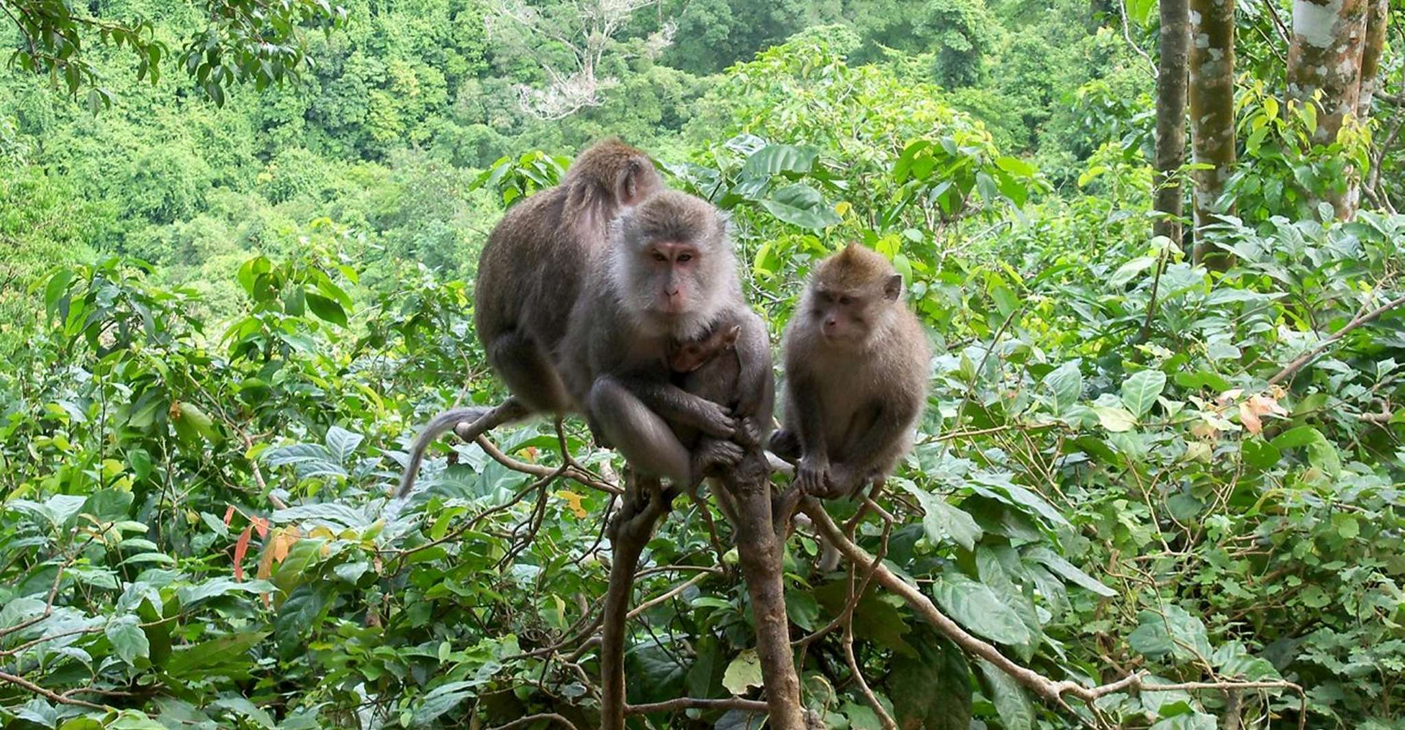 Lombok, Gili Trawangan / Meno / Visite aérienne (y compris le déjeuner) - Hizvo