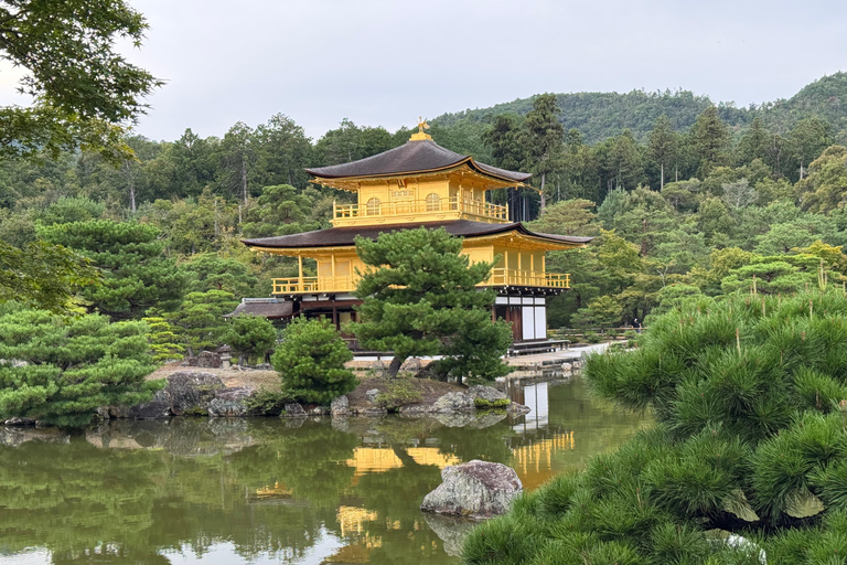 Visite privée d&#039;une journée à Kyoto