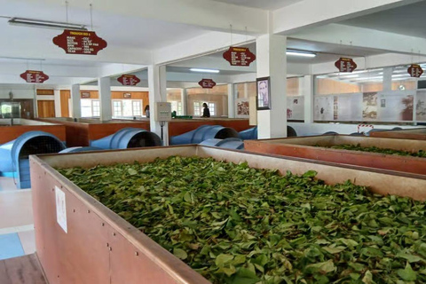From Colombo/Negombo: Kandy ,Pinnawala ,Tea Factory Day Tour