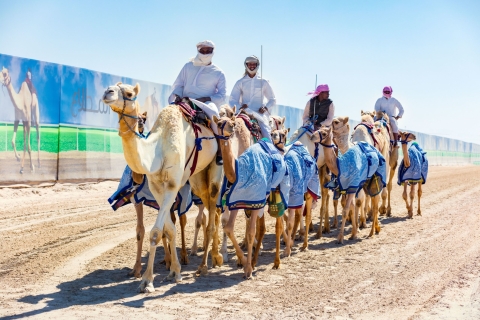 Verken West-Qatar en bezoek aan het kamelencircuit Sheehaniya.