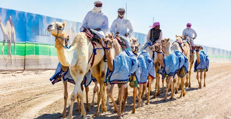 Explore West Qatar and Sheehaniya Camel racetrack visit. | GetYourGuide