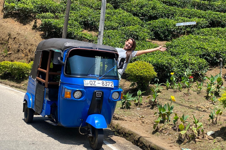 Kandy to Nuwara Eliya Transfer: Tea Plantations & Waterfalls