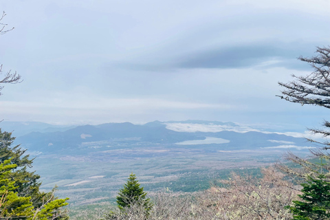 From Tokyo: Mount Fuji Full Day Customizable Private Tour LUXURY LAND CRUISER