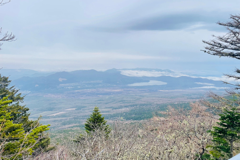 From Tokyo: Mount Fuji Full Day Customizable Private Tour LUXURY LAND CRUISER