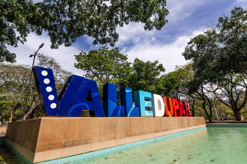 Roots of the Caribbean: Sightseeing Tour of Valledupar, Mompox, Coveñas, and Cartagena