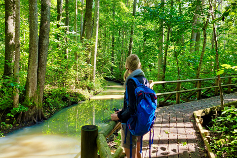 Ķemeri Great Bog With Optional Sunrise & Jūrmala Visit Ķemeri Bog Shared Small Group Tour