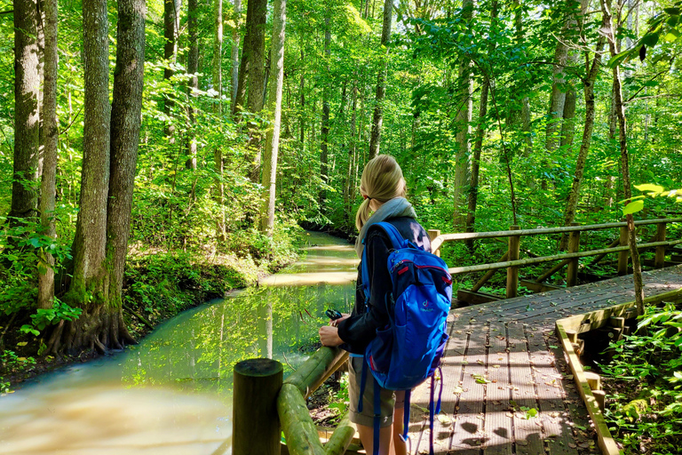 Ķemeri Great Bog With Optional Sunrise & Jūrmala Visit Ķemeri Bog Shared Small Group Tour