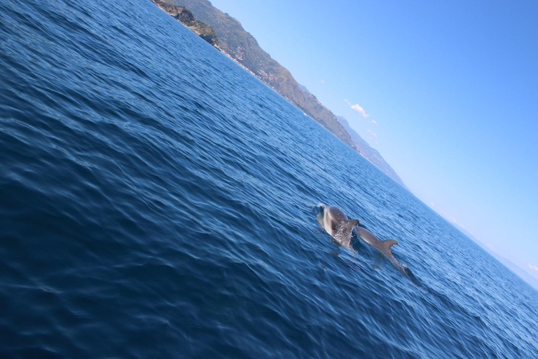 Taormina: Sunset Dolphin Tour by Catamaran with Aperitif