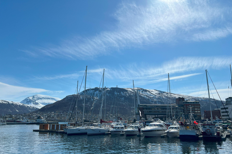 Tromsø: Discover the City & Polar Museum! Free entry! Tromsø: Guided tour of the city, including the Polar Museum!