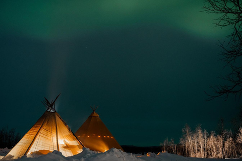 Njut av Aurora Show på toppen av berget inc tipi middag