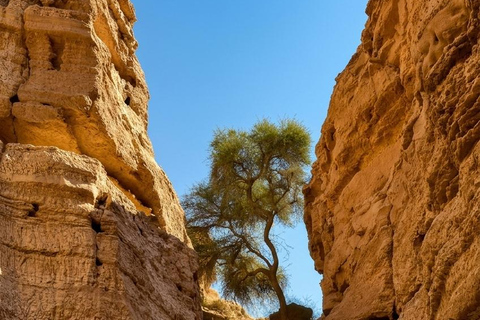 Riyadh: Owl Cave Hiking Adventure at King Khalid Reserve