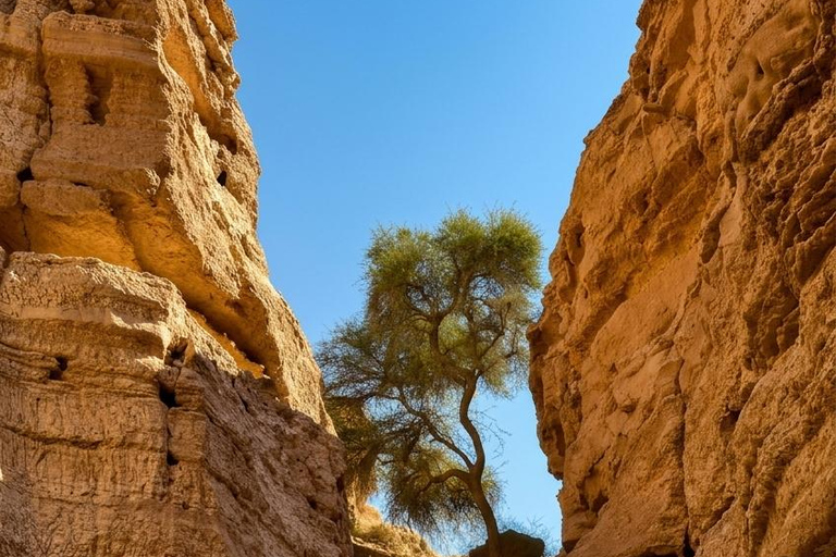 Riyadh: Owl Cave Hiking Adventure at King Khalid Reserve