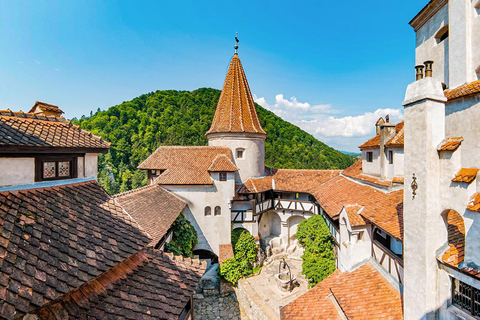Bucharest: Dracula Castle, Peles Castle & Brasov Guided Tour MINIVAN 8 Dracula Castle, Peles Castle & Brasov Guided Tour