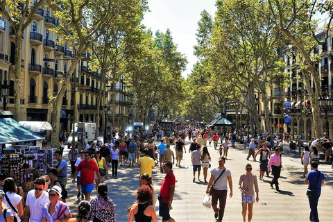 Barcelone et le Parc Güell : Visite d&#039;une demi-journée privée avec prise en chargeBarcelone et le Parc Güell : Visite privée d&#039;une demi-journée avec prise en charge