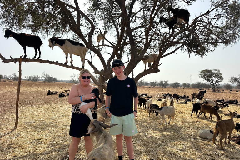 Agadir: Goats on Trees & Crocoparc Tour Goats on Trees & Crocoparc – Entry Ticket Included