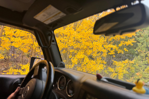 Denver/Black Hawk: You-Drive Jeep Tour in the Backcountry