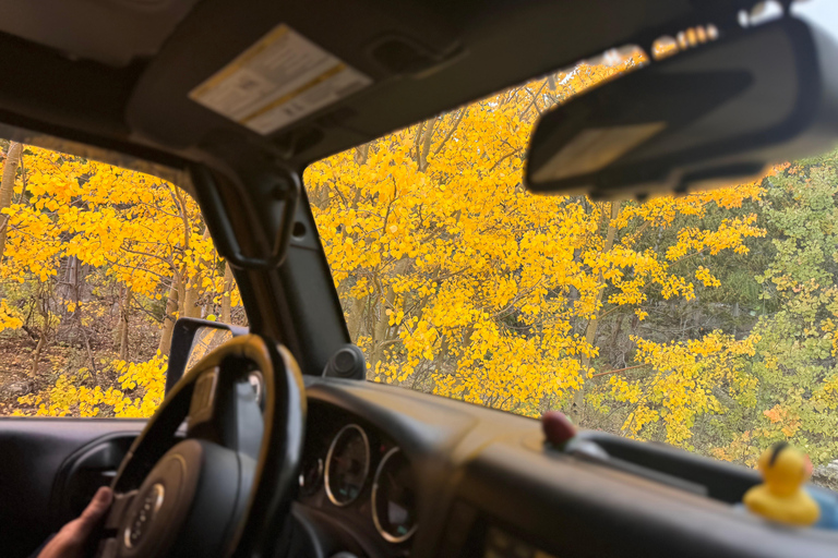 Denver/Black Hawk: You-Drive Jeep Tour in the Backcountry