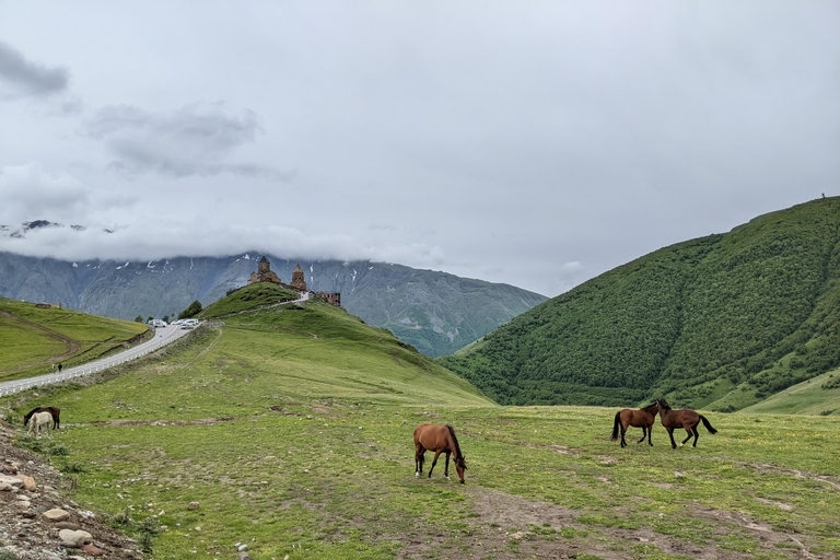 Tbilisi: Kazbegi, Gudauri, Ananuri - Private guided tour