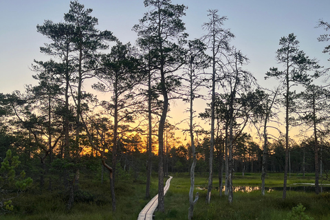 From Tallinn: Jägala Waterfall and Bog Walk Tour