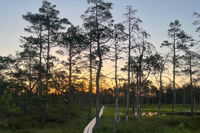 From Tallinn: Jägala Waterfall and Bog Walk Tour