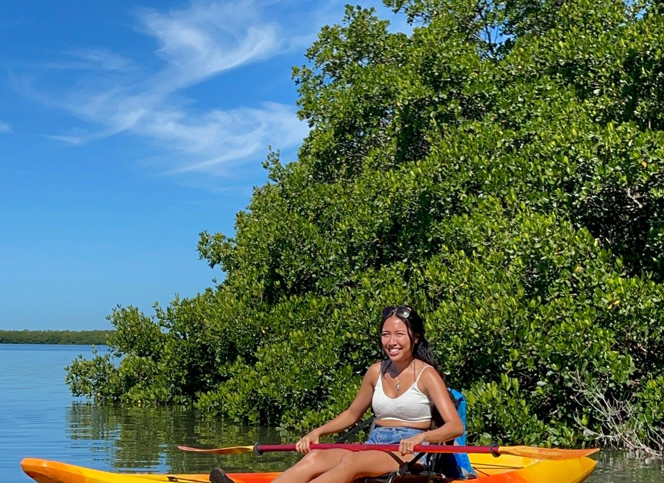 Tierra Verde: Shell Key Mangrove Privat guidet tur på 1,5 time