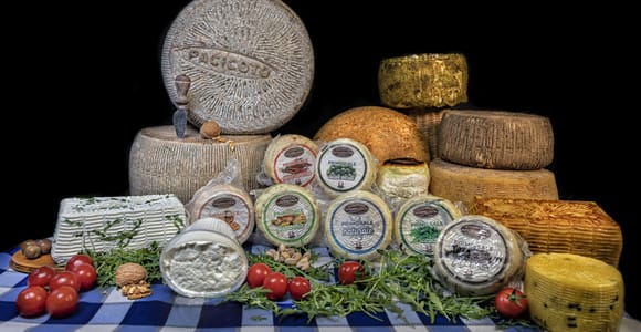 Rounds of Sicilian cheese arranged on a wooden counter at a small dairy