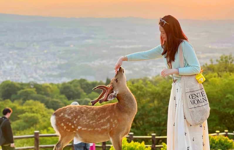 Osaka: Nara and Uji Day Trip with Deer Park and Hot Spring