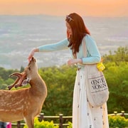 Osaka: Nara and Uji Day Trip with Deer Park and Hot Spring