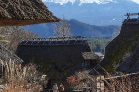 From Tokyo: Mount Fuji Full Day Customizable Private Tour