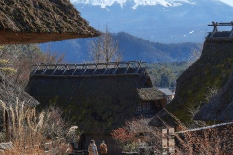 From Tokyo: Mount Fuji Full Day Customizable Private Tour