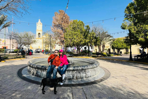 Combo : Cascades et Groutes avec transferts et billetsMonterrey : Cola de Caballo et Grutas de Garcia Combo