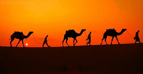 From Djerba: Night Under the Stars, Camel Riding, Star Wars Sites + Bivouac