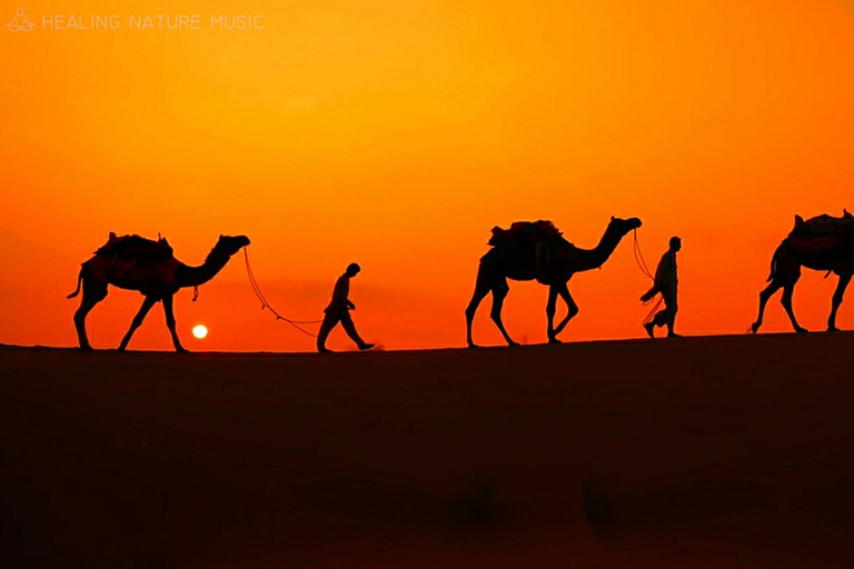 Woestijnsafari, dunebashing, kamelenrit, zandboarden, zonsondergang