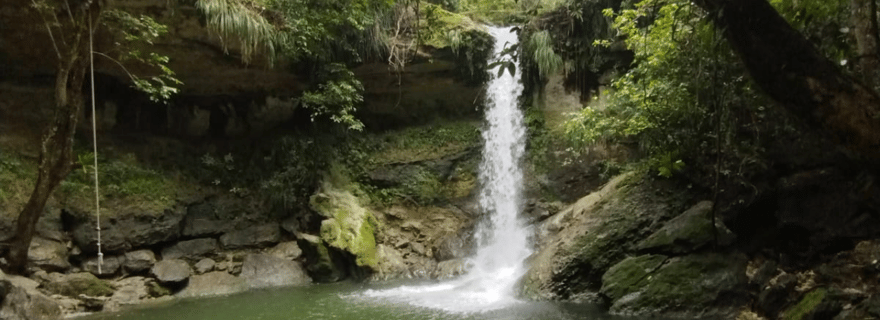 Porto Rico : Randonnée sur la rivière Gozalandia et visite des chutes d'eau
