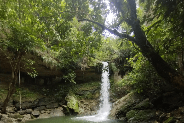 Puerto Rico: Gozalandia River Hiking and Waterfall Tour