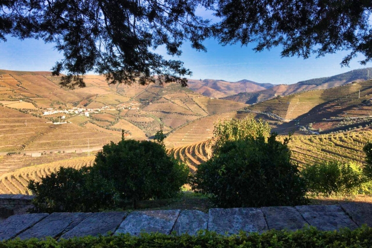 Douro Valley Tour: 2 Wineries and Boat trip