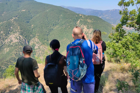 Sofia: Vulture Conservation & Release Experience
