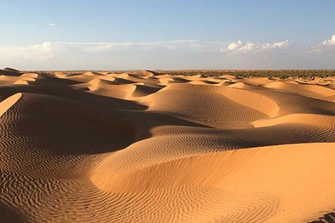 Full Day From Djerba: Ksar Ghilane Oasis & Star Wars Site by JEEP Day Trip from Djerba: Ksar Ghilane Oasis & Star Wars Site by JEEP