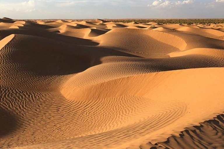 Full Day From Djerba: Ksar Ghilane Oasis & Star Wars Site by JEEP Day Trip from Djerba: Ksar Ghilane Oasis & Star Wars Site by JEEP