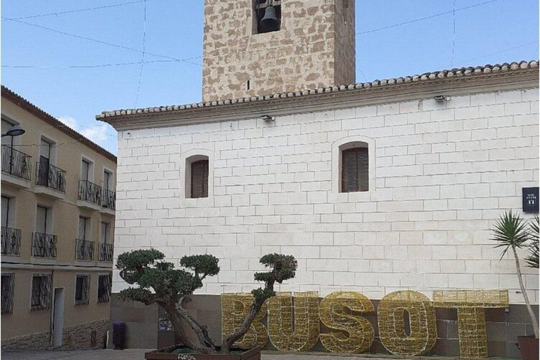 Alicante: Tour delle grotte di Canelobre e del Busot con trasferimento incluso