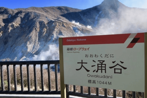 Tokyo: Mount Fuji, Gotemba Outlet, and Hakone Day Trip