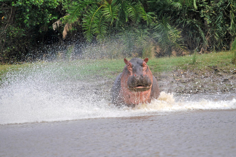 From Zanzibar: Saadani safari 2-Day with Night Game Drive