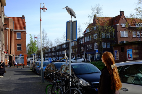 The Hague: Laakkwartier Guided Walking Tour