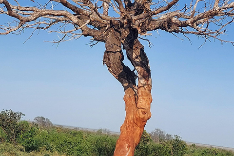 Red Elephants & Kilimanjaro Views: 3-day Tsavo East/Amboseli