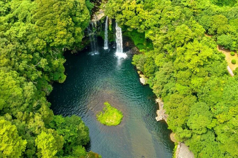 Jeju: Private Shore Excursion for Cruise Guests– West&South Seogwipo Gangjeong Port