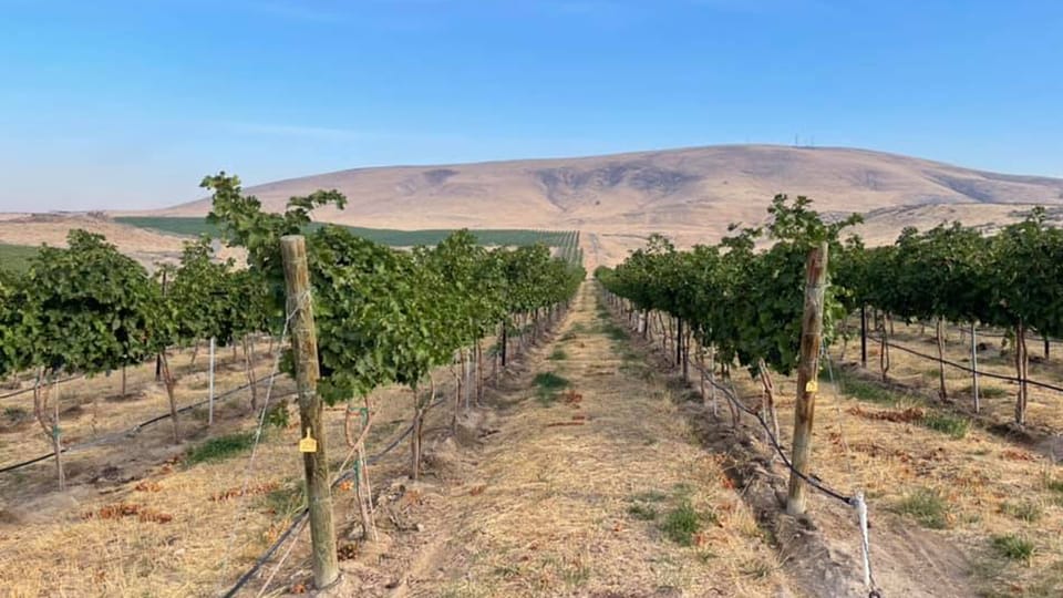 Woodinville Wine Country: Warehouse District Wine Pass | GetYourGuide