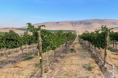 Woodinville Wine Country: Warehouse District Wine Pass Warehouse Wine District Wine Tasting Pass