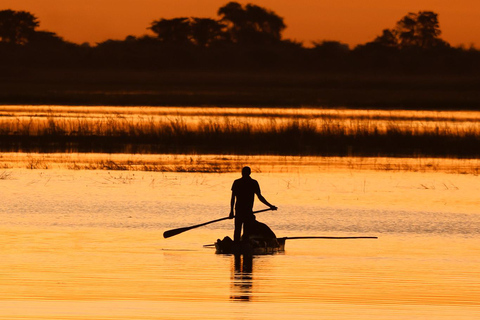 Chobe River Private 3 Hour Boat Safari