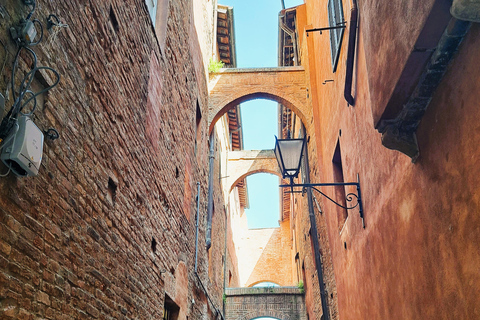 Best of Tuscany Experience Pisa, Siena, San Gimignano & Wine Standard Group Option